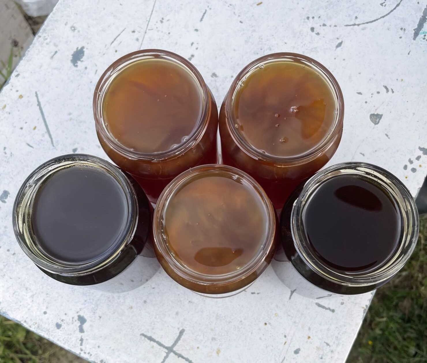 Το ελληνικό μέλι στην Ιταλία