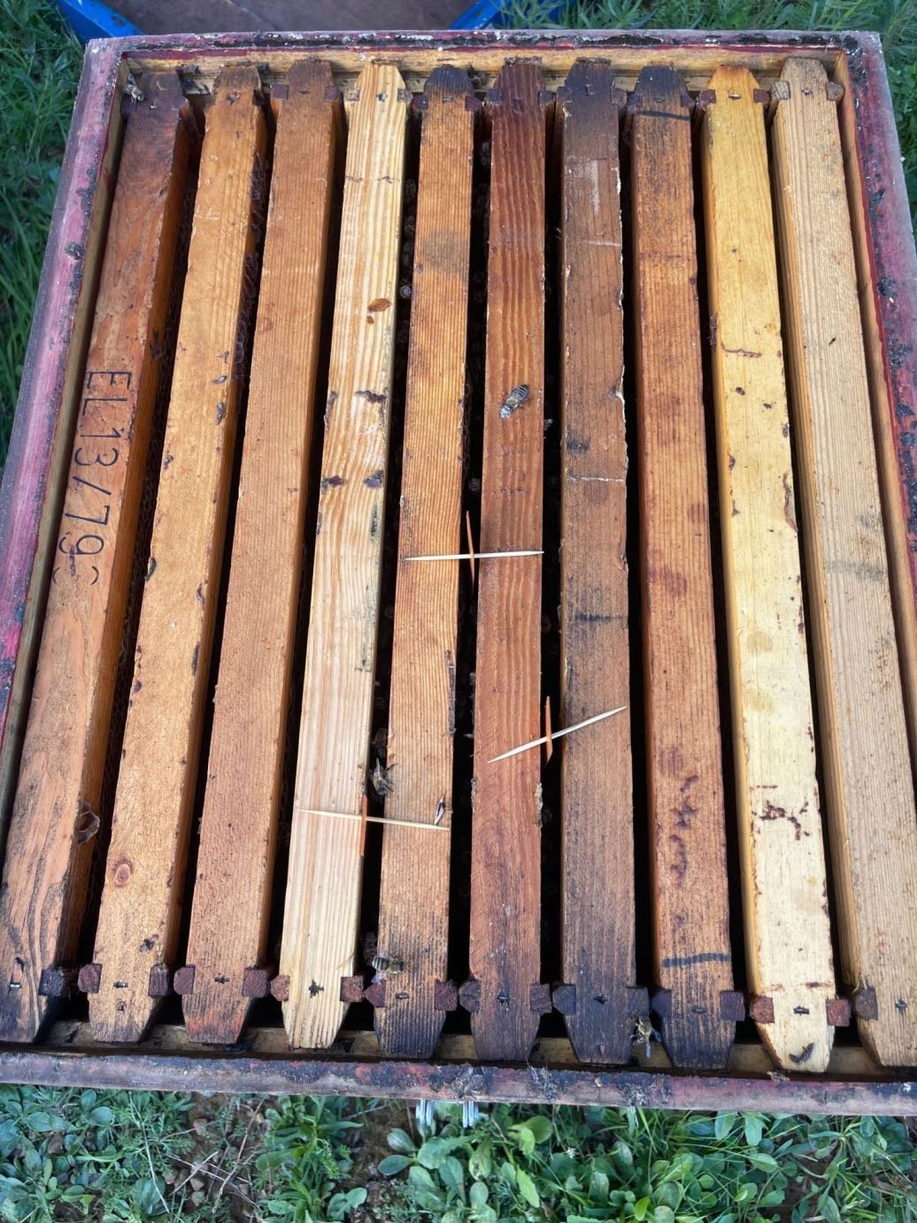 Αντιμετώπιση της βαρρόα με αμιτράζ