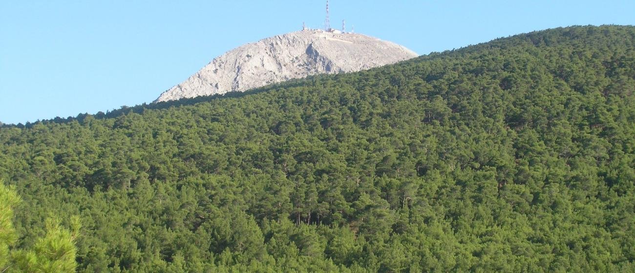 Η ελληνική μελισσοκομία σε κίνδυνο